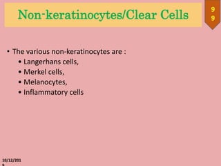 Non-keratinocytes/Clear Cells
• The various non-keratinocytes are :
• Langerhans cells,
• Merkel cells,
• Melanocytes,
• Inflammatory cells
10/12/201
9
9
 