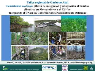 USDA FOREST SERVICE
Taller regional de Carbono Azul
Ecosistemas costeros: pilares de mitigación y adaptación al cambio
cli...