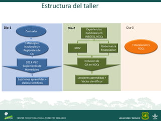 Objetivos Taller Carbono Azul