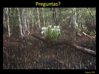 Objetivos Taller Carbono Azul