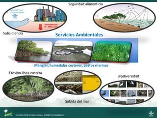 Biodiversity
Seguridad alimenticia
Erosion linea costera
Subida del mar
Biodiversidad
Subsidiencia Servicios Ambientales
M...