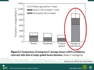 Objetivos Taller Carbono Azul