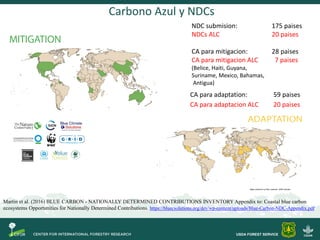 Objetivos Taller Carbono Azul