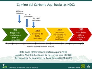 Objetivos Taller Carbono Azul