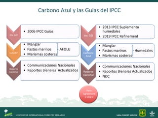 Objetivos Taller Carbono Azul