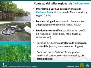 Objetivos Taller Carbono Azul