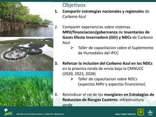 Objetivos Taller Carbono Azul