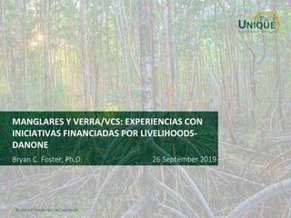 © UNIQUE forestry and land use GmbH
MANGLARES Y VERRA/VCS: EXPERIENCIAS CON
INICIATIVAS FINANCIADAS POR LIVELIHOODS-
DANONE
Bryan C. Foster, Ph.D. 26 September 2019
 