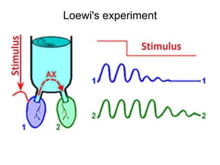 Loewi's experiment
 