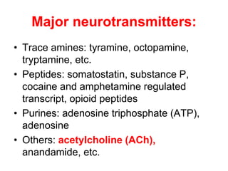 Major neurotransmitters:
• Trace amines: tyramine, octopamine,
tryptamine, etc.
• Peptides: somatostatin, substance P,
cocaine and amphetamine regulated
transcript, opioid peptides
• Purines: adenosine triphosphate (ATP),
adenosine
• Others: acetylcholine (ACh),
anandamide, etc.
 