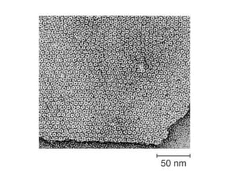 2.4.lecture 4- synapses 
