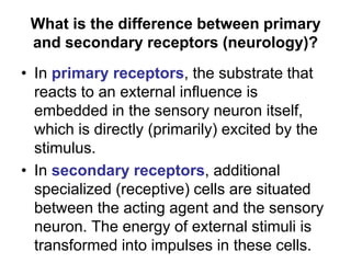 What is the difference between primary
and secondary receptors (neurology)?
• In primary receptors, the substrate that
reacts to an external influence is
embedded in the sensory neuron itself,
which is directly (primarily) excited by the
stimulus.
• In secondary receptors, additional
specialized (receptive) cells are situated
between the acting agent and the sensory
neuron. The energy of external stimuli is
transformed into impulses in these cells.
 