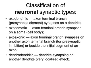 Classification of
neuronal synaptic types:
• axodendritic — axon terminal branch
(presynaptic element) synapses on a dendrite;
• axosomatic — axon terminal branch synapses
on a soma (cell body);
• axoaxonic — axon terminal branch synapses on
another axon terminal branch (for presynaptic
inhibition) or beside the initial segment of an
axon;
• dendrodendritic — dendrite synapsing on
another dendrite (very localized effect).
 