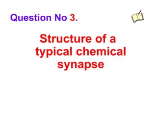 Structure of a
typical chemical
synapse
Question No 3.
 