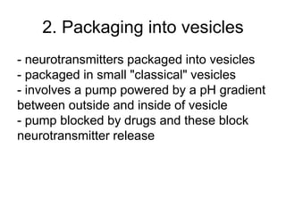 2. Packaging into vesicles
- neurotransmitters packaged into vesicles
- packaged in small "classical" vesicles
- involves a pump powered by a pH gradient
between outside and inside of vesicle
- pump blocked by drugs and these block
neurotransmitter release
 