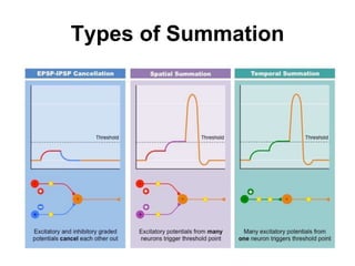 Types of Summation
 