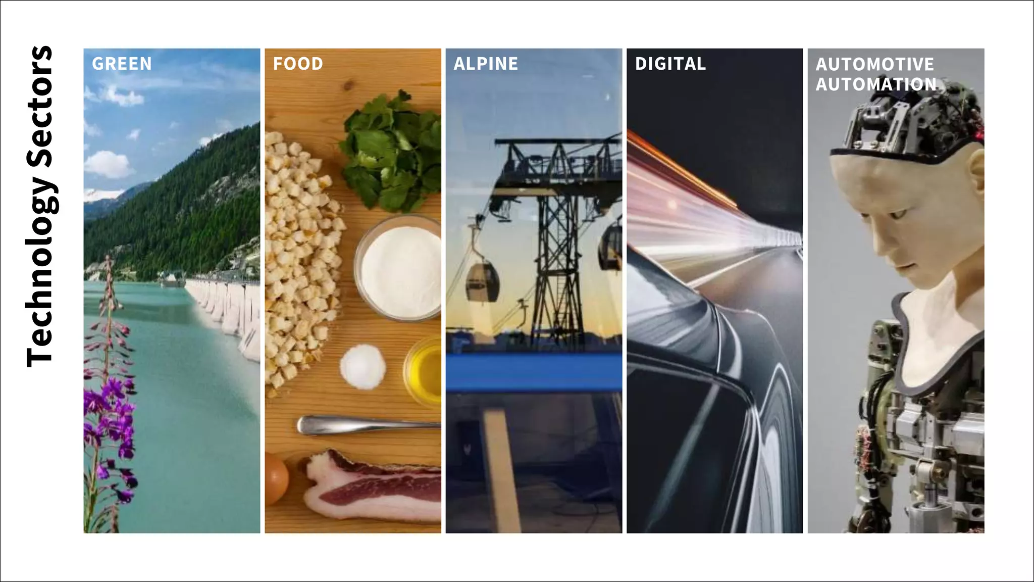 TechnologySectors GREEN FOOD ALPINE DIGITAL AUTOMOTIVE
AUTOMATION
 