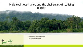 Multilevel governance and the challenges of realizing
REDD+
Presented by: Félicien Kengoum
2019 October, Kinshasa
 