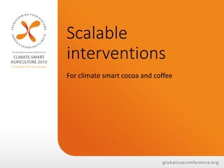 Scalable
interventions
For climate smart cocoa and coffee
 