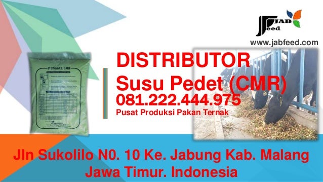 Jual Susu Pedet Susu Pengganti Induk Susu Anak Sapi