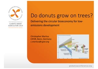 Do donuts grow on trees?
Delivering the circular bioeconomy for low-
emissions development
Christopher Martius
CIFOR, Bonn, Germany
c.martius@cgiar.org
 