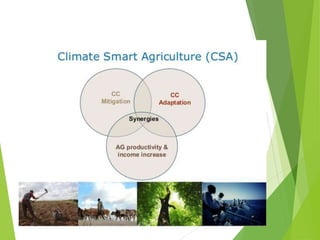 التغيرات المناخيه فى مصر 
