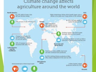التغيرات المناخيه فى مصر 