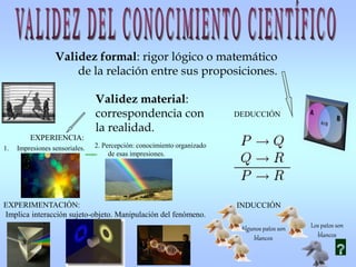Validez material:
correspondencia con
la realidad.
1. Impresiones sensoriales.
EXPERIENCIA:
EXPERIMENTACIÓN:
Implica interacción sujeto-objeto. Manipulación del fenómeno.
Algunos patos son
blancos
Los patos son
blancos
INDUCCIÓN
DEDUCCIÓN
2. Percepción: conocimiento organizado
de esas impresiones.
Validez formal: rigor lógico o matemático
de la relación entre sus proposiciones.
 