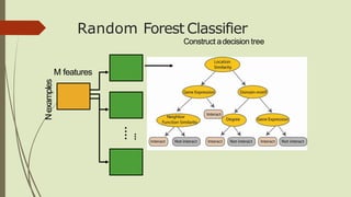 Nexamples
Random Forest Classifier
Construct adecision tree
....
…
M features
 