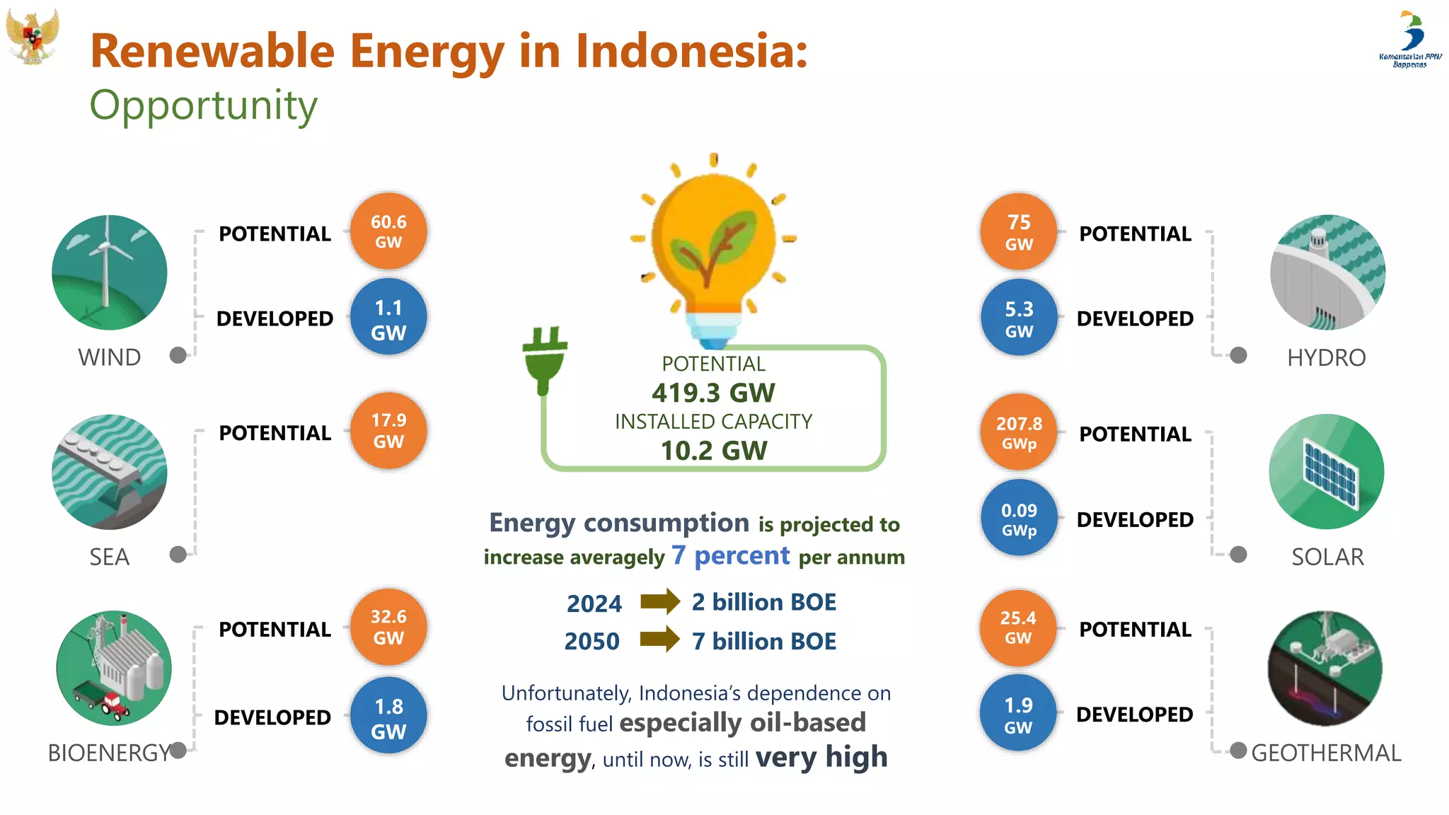 Bioenergy Development in Indonesia | PPTX