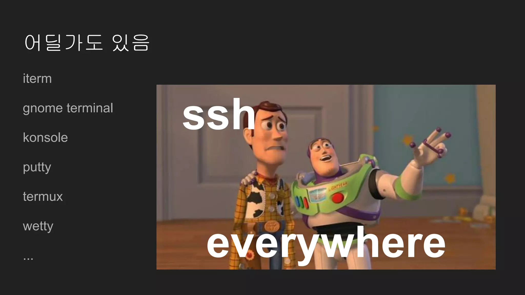 어딜가도 있음
iterm
gnome terminal
konsole
putty
termux
wetty
...
ssh
everywhere
 