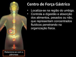 • Localiza-se na região do umbigo.
• Controla a digestão e absorção
dos alimentos, pesados ou não,
que representam concentrados
fluídicos penetrando na
organização física.
Relaciona-se com o
pâncreas
Centro de Força Gástrico
 