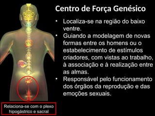 • Localiza-se na região do baixo
ventre.
• Guiando a modelagem de novas
formas entre os homens ou o
estabelecimento de estímulos
criadores, com vistas ao trabalho,
à associação e à realização entre
as almas.
• Responsável pelo funcionamento
dos órgãos da reprodução e das
emoções sexuais.
Relaciona-se com o plexo
hipogástrico e sacral
Centro de Força Genésico
 