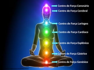 Centro de Força Coronário
https://www.cristaisaquarius.com.br/blog/chakras/
Centro de Força Cerebral
Centro de Força Laríngeo
Centro de Força Cardíaco
Centro de Força Esplênico
Centro de Força Gástrico
Centro de Força Genésico
 
