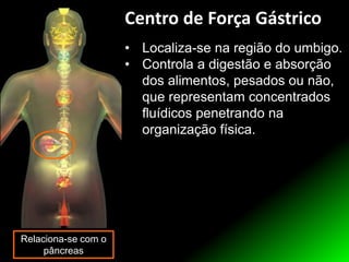 • Localiza-se na região do umbigo.
• Controla a digestão e absorção
dos alimentos, pesados ou não,
que representam concentrados
fluídicos penetrando na
organização física.
Relaciona-se com o
pâncreas
Centro de Força Gástrico
 