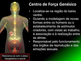• Localiza-se na região do baixo
ventre.
• Guiando a modelagem de novas
formas entre os homens ou o
estabelecimento de estímulos
criadores, com vistas ao trabalho,
à associação e à realização entre
as almas.
• Responsável pelo funcionamento
dos órgãos da reprodução e das
emoções sexuais.
Relaciona-se com o plexo
hipogástrico e sacral
Centro de Força Genésico
 