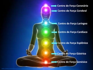Centro de Força Coronário
https://www.cristaisaquarius.com.br/blog/chakras/
Centro de Força Cerebral
Centro de Força Laríngeo
Centro de Força Cardíaco
Centro de Força Esplênico
Centro de Força Gástrico
Centro de Força Genésico
 