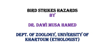 Bird strikes hazards
By
Dr. Dawi Musa Hamed
Dept. of zoology, University of
Khartoum (Ethologist)
 