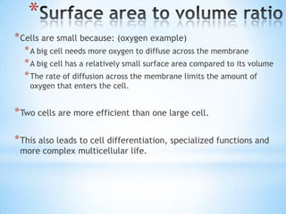 *
* Cells are small because: (oxygen example)
  * A big cell needs more oxygen to diffuse across the membrane
  * A big cell has a relatively small surface area compared to its volume
  * The rate of diffusion across the membrane limits the amount of
    oxygen that enters the cell.


* Two cells are more efficient than one large cell.

* This also leads to cell differentiation, specialized functions and
 more complex multicellular life.
 