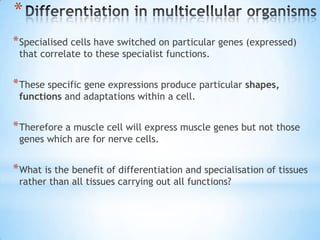 *
* Specialised cells have switched on particular genes (expressed)
 that correlate to these specialist functions.


* These specific gene expressions produce particular shapes,
 functions and adaptations within a cell.


* Therefore a muscle cell will express muscle genes but not those
 genes which are for nerve cells.


* What is the benefit of differentiation and specialisation of tissues
 rather than all tissues carrying out all functions?
 