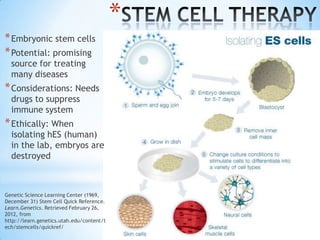 *
* Embryonic stem cells
* Potential: promising
  source for treating
  many diseases
* Considerations: Needs
  drugs to suppress
  immune system
* Ethically: When
  isolating hES (human)
  in the lab, embryos are
  destroyed



Genetic Science Learning Center (1969,
December 31) Stem Cell Quick Reference.
Learn.Genetics. Retrieved February 26,
2012, from
http://learn.genetics.utah.edu/content/t
ech/stemcells/quickref/
 