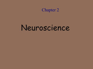 Chapter 2 
Neuroscience 
 