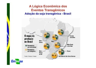 A Lógica Econômica dos
    Eventos Transgênicos
Adoção da soja transgênica - Brasil
 