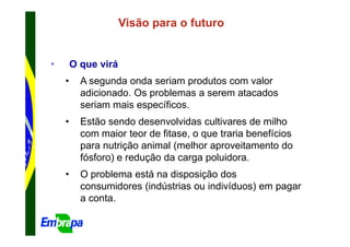 Visão para o futuro


•       O que virá
    •     A segunda onda seriam produtos com valor
          adicionado. Os problemas a serem atacados
          seriam mais específicos.
    •     Estão sendo desenvolvidas cultivares de milho
          com maior teor de fitase, o que traria benefícios
          para nutrição animal (melhor aproveitamento do
          fósforo) e redução da carga poluidora.
    •     O problema está na disposição dos
          consumidores (indústrias ou indivíduos) em pagar
          a conta.
 