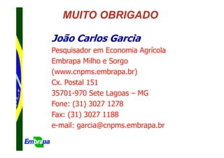 MUITO OBRIGADO

João Carlos Garcia
Pesquisador em Economia Agrícola
Embrapa Milho e Sorgo
(www.cnpms.embrapa.br)
Cx. Postal 151
35701-970 Sete Lagoas – MG
Fone: (31) 3027 1278
Fax: (31) 3027 1188
e-mail: garcia@cnpms.embrapa.br
 