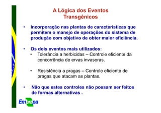 A Lógica dos Eventos
                   Transgênicos
•   Incorporação nas plantas de características que
    permitem o manejo de operações do sistema de
    produção com objetivo de obter maior eficiência.

•   Os dois eventos mais utilizados:
    • Tolerância a herbicidas – Controle eficiente da
       concorrência de ervas invasoras.

    •   Resistência a pragas – Controle eficiente de
        pragas que atacam as plantas.

•   Não que estes controles não possam ser feitos
    de formas alternativas .
 