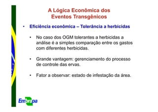 A Lógica Econômica dos
              Eventos Transgênicos
•   Eficiência econômica – Tolerância a herbicidas

    •   No caso dos OGM tolerantes a herbicidas a
        análise é a simples comparação entre os gastos
        com diferentes herbicidas.

    •   Grande vantagem: gerenciamento do processo
        de controle das ervas.

    •   Fator a observar: estado de infestação da área.
 