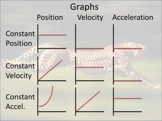 Physics Graphs Position Velocity Acceleration