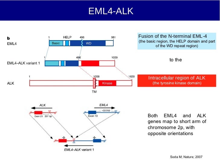 BALKAN MCO 2011 V. Gregorc Epidemiology, pathology and molecular