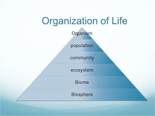 Organization of Life 